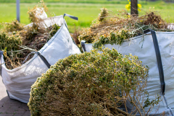 Best Yard Waste Removal  in Jackson, KY
