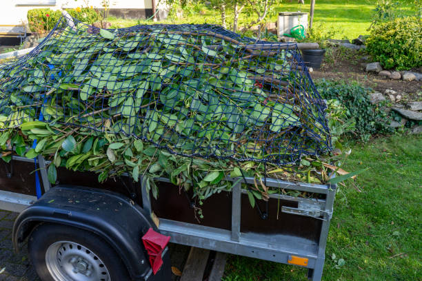  Jackson, KY Junk Removal Services Pros
